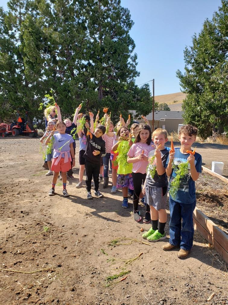 Yummy goodness from the garden