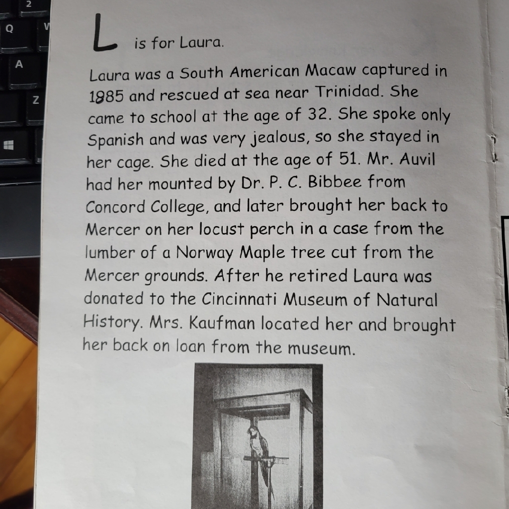 laura
