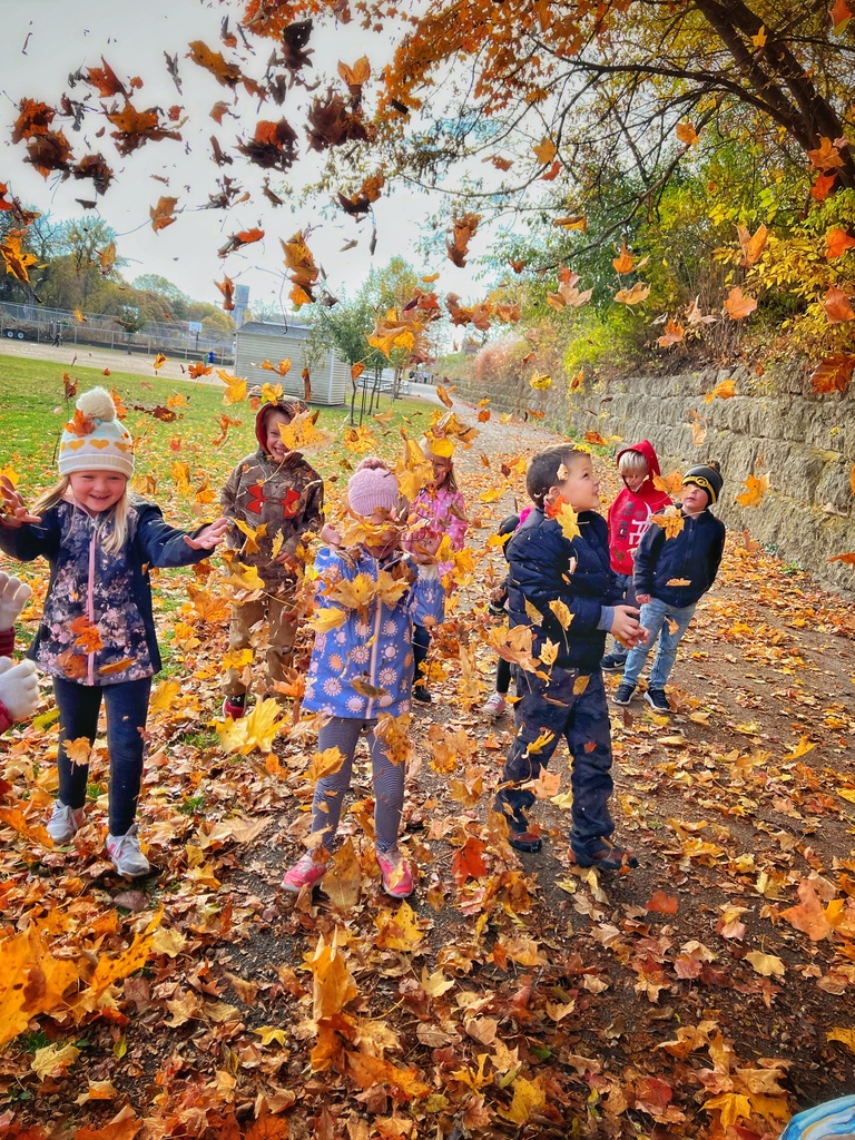 fall3