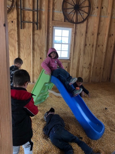 Field Trip