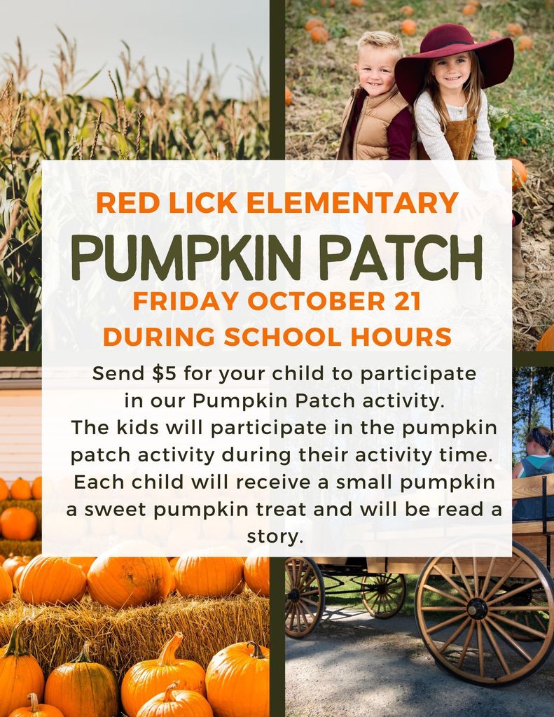 Pumpkin Patch