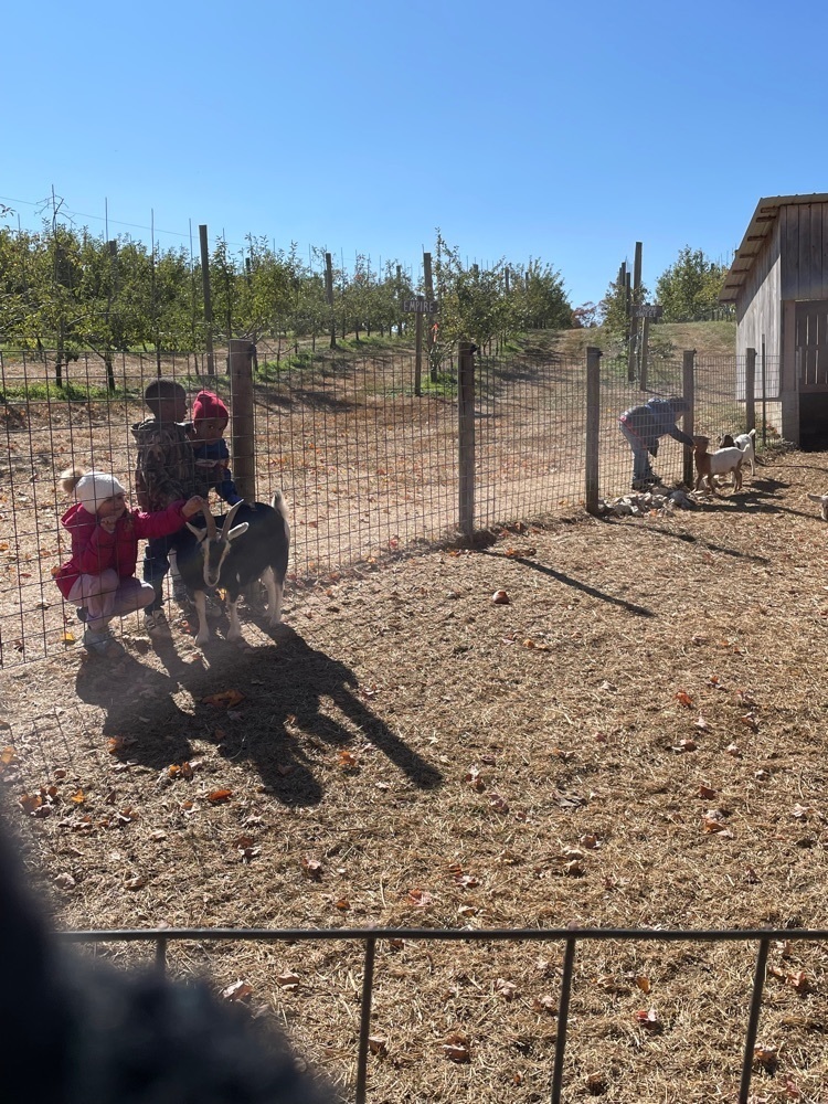 Getting to pet the goats