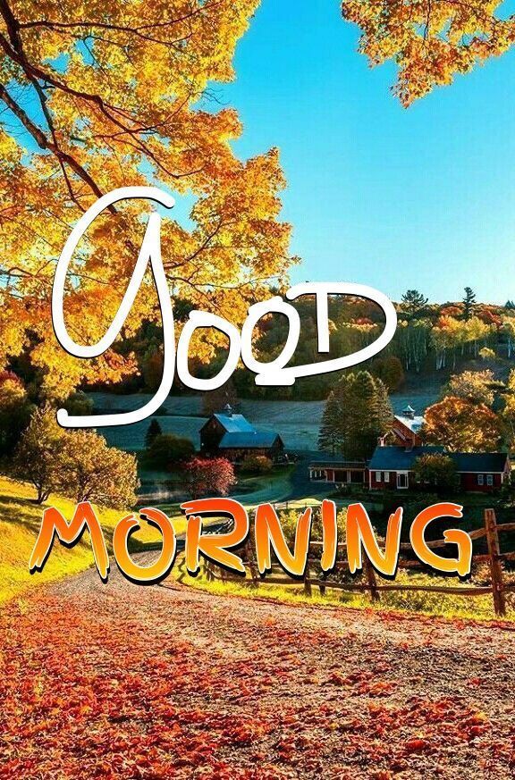Morning