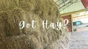 got hay