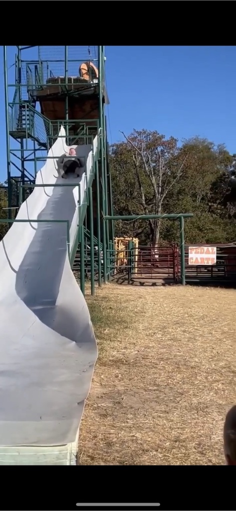 Pumpkin Patch Slide