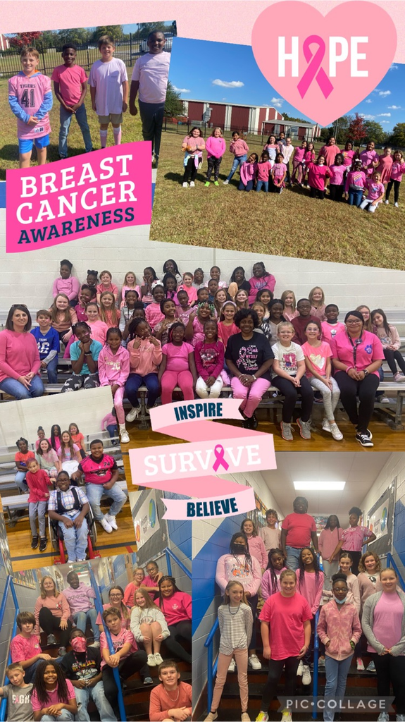breast cancer day