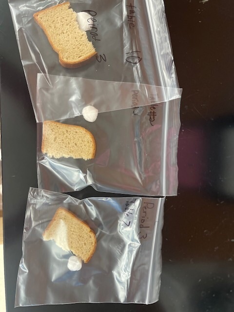 bread in bag