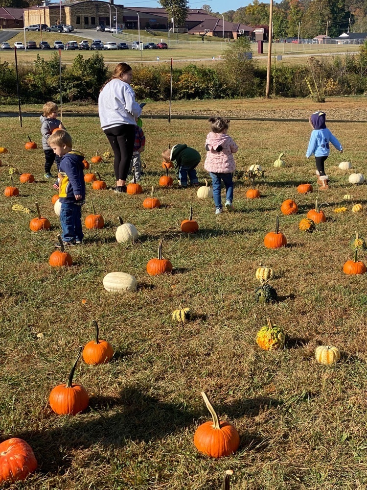 pumpkin patch