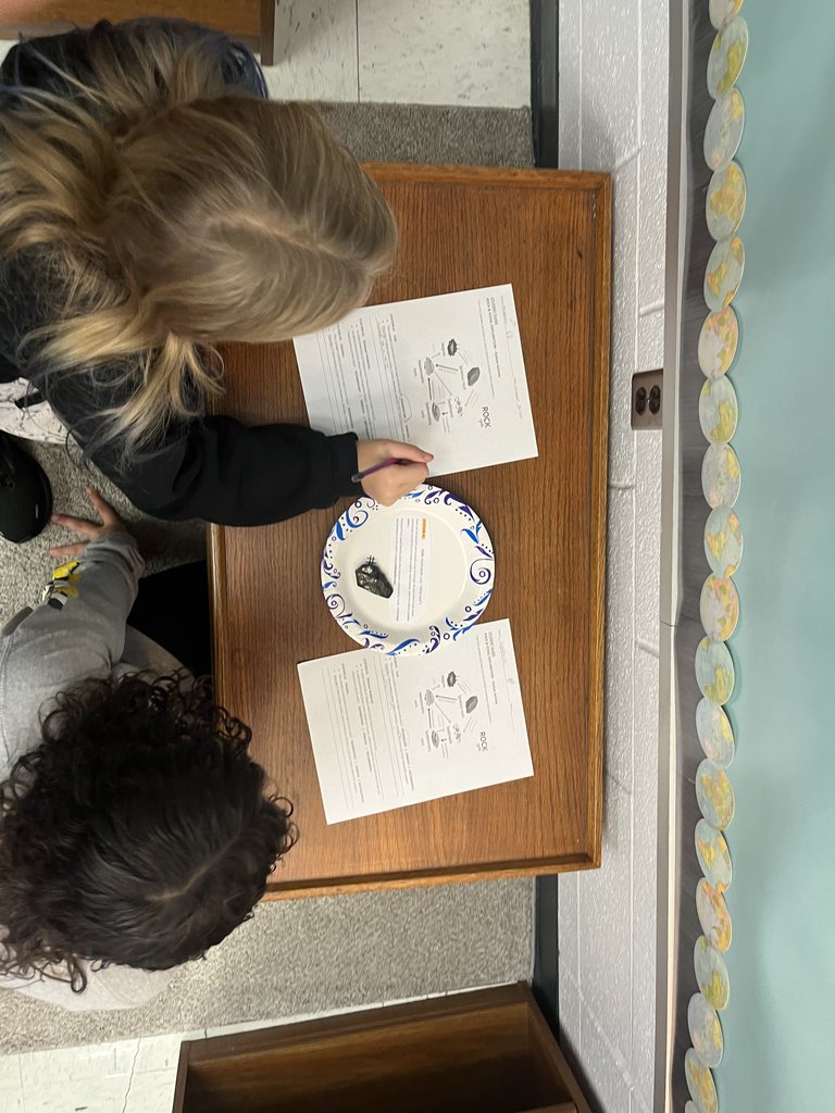 Students examining geology specimens