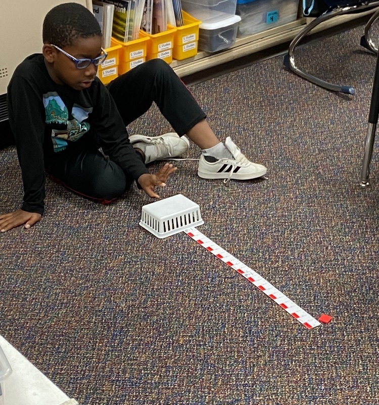 measurement activity