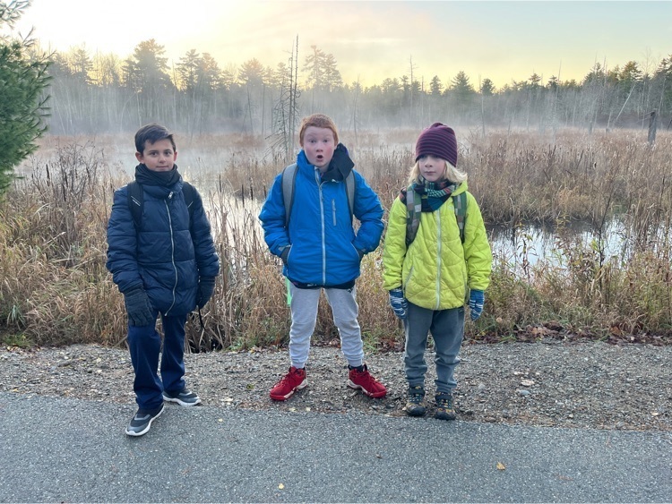 group of students and staff standing in front of a foggy swamp
