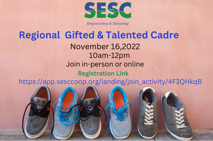 Gifted and Talented Cadre Flyer