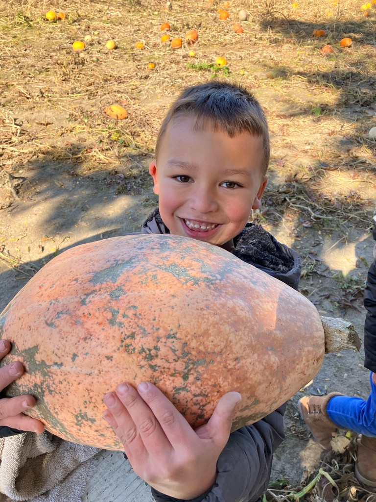 pumpkin patch