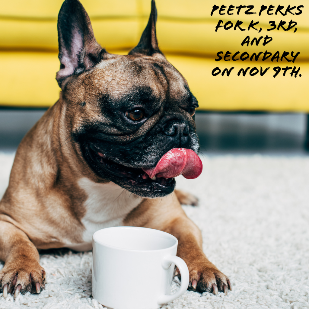 Peetz Perks for K, 3rd, and Secondary on Nov 9th.