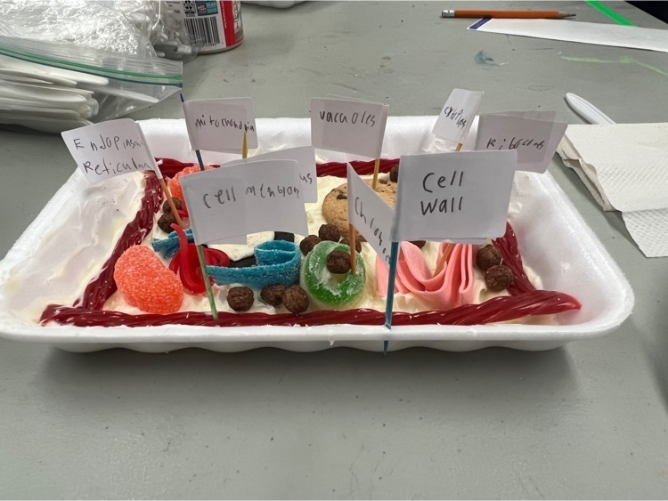 image of candy cell models