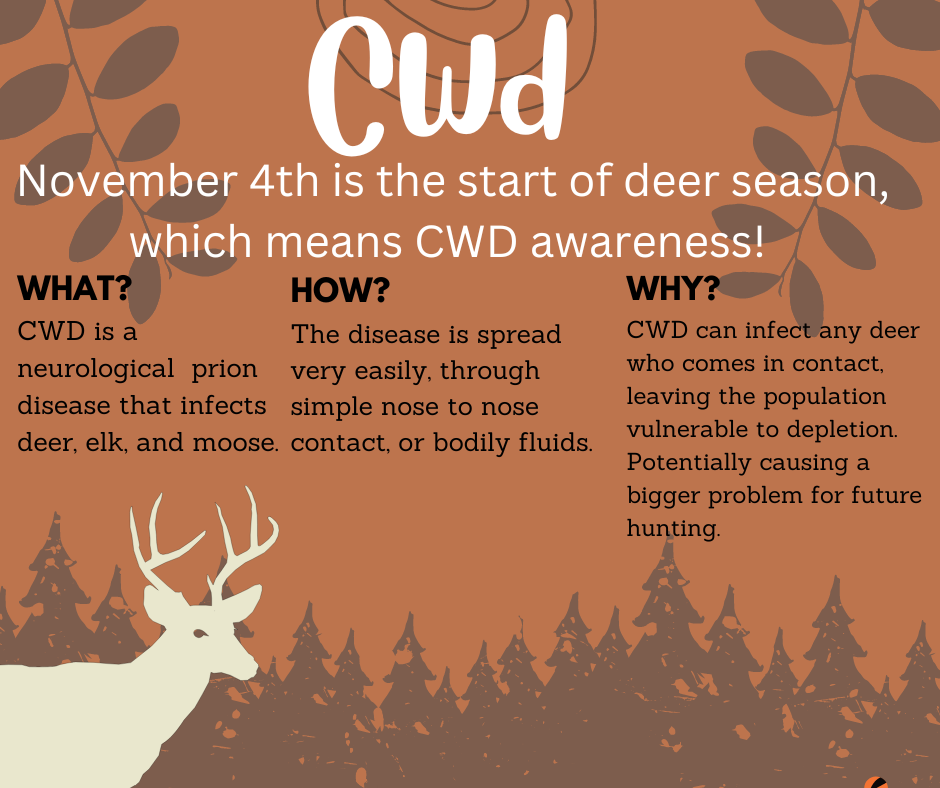 CWD Information