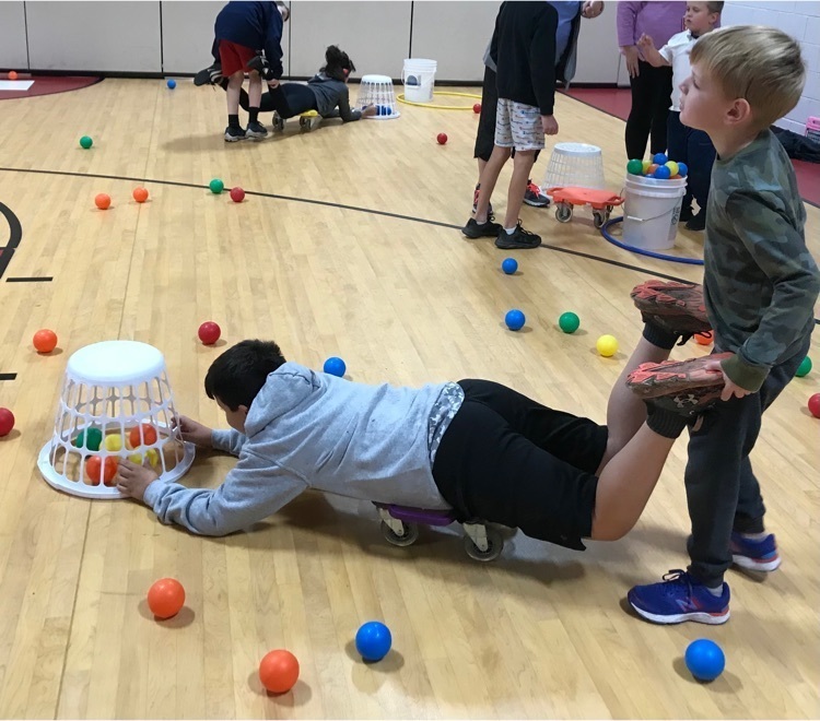 Playing Hungry Hippos