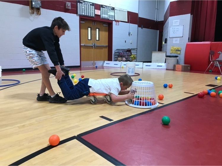 playing Hungry Hippos