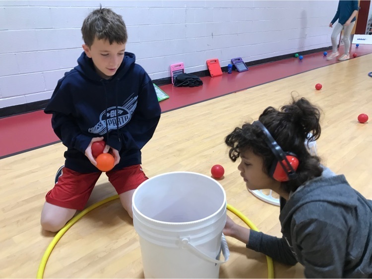 playing Hungry Hippos