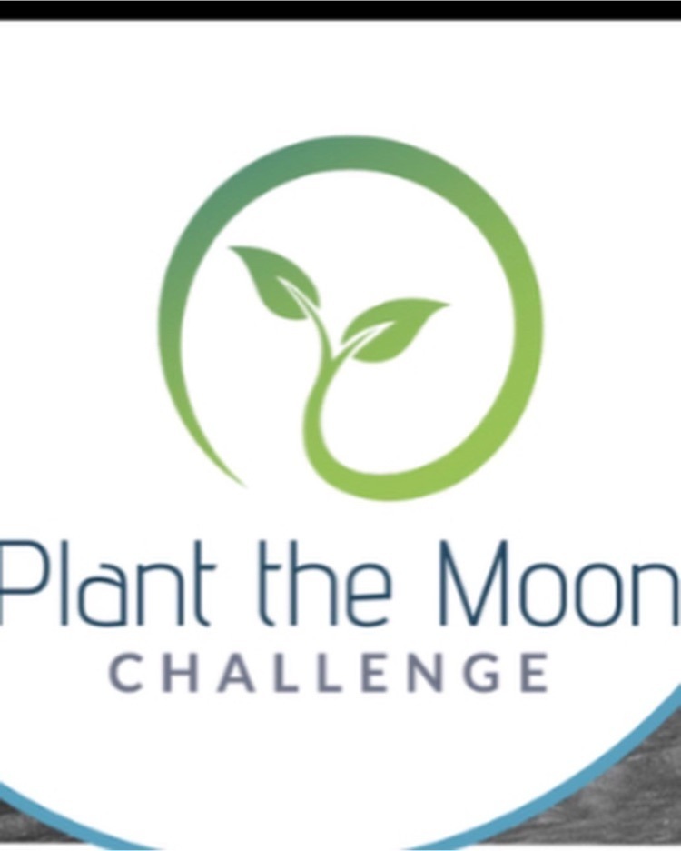 Plant the Moon!