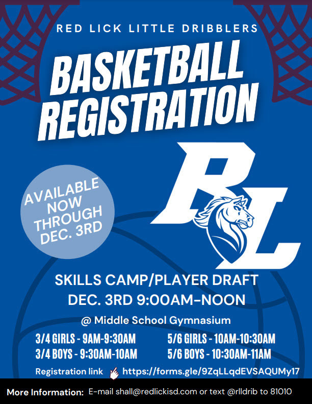 reg flyer
