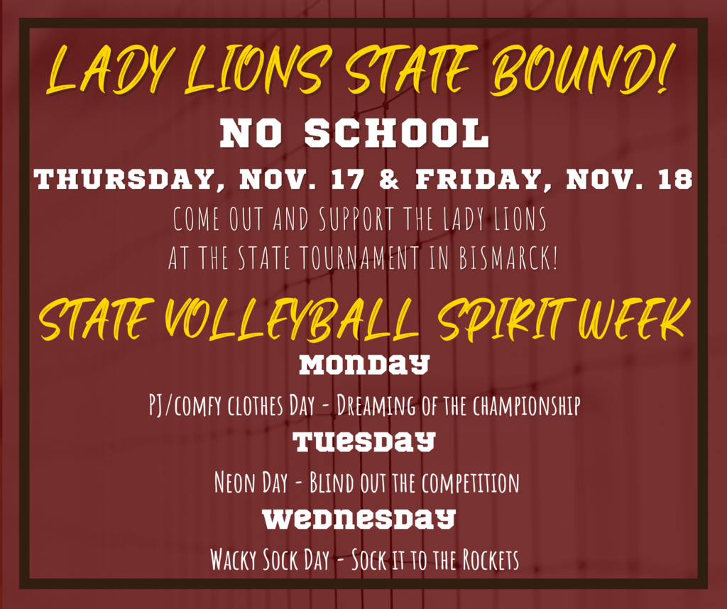 State Volleyball