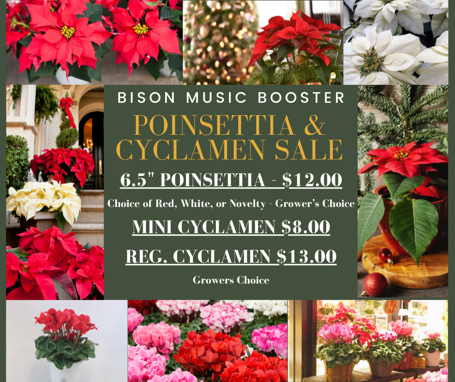 Flower sale