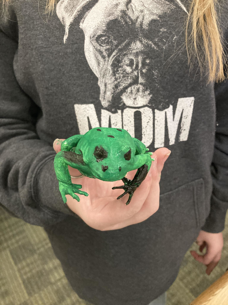 Frog that was printed on 3D printer