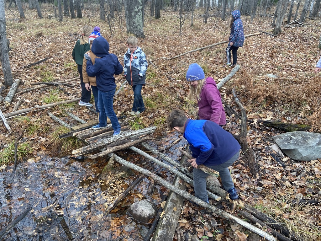 Third Graders work together using natural resources from the forest for a bridge project.