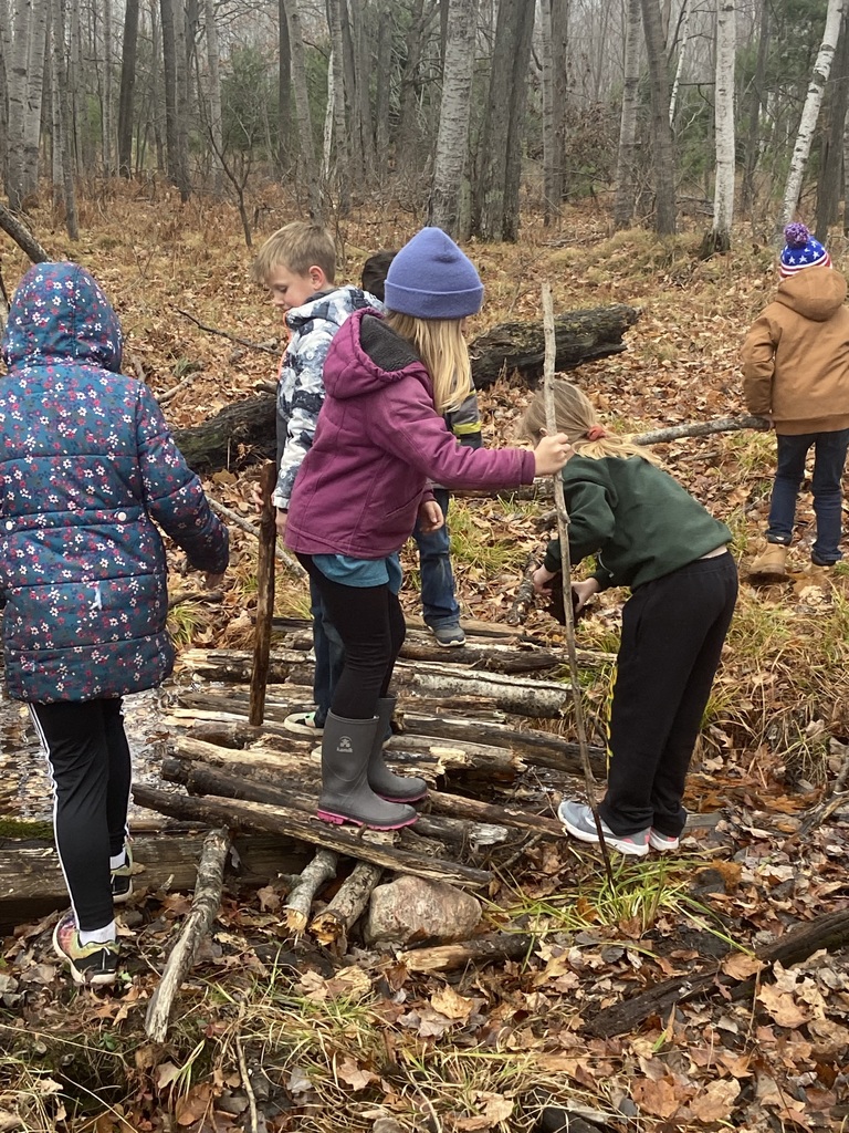 Third Graders work together using natural resources from the forest for a bridge project.