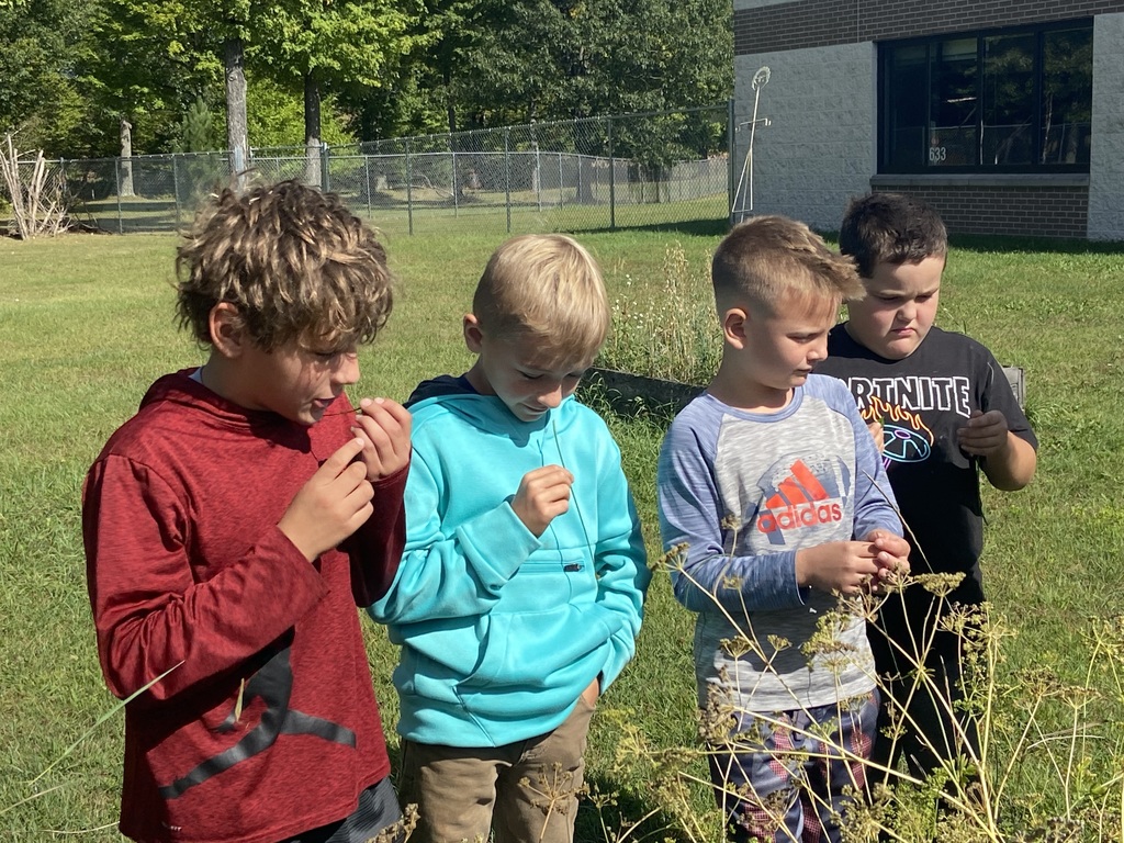 Miss Jeanne visits with 3rd Graders to share the end of the year harvest in the school gardens