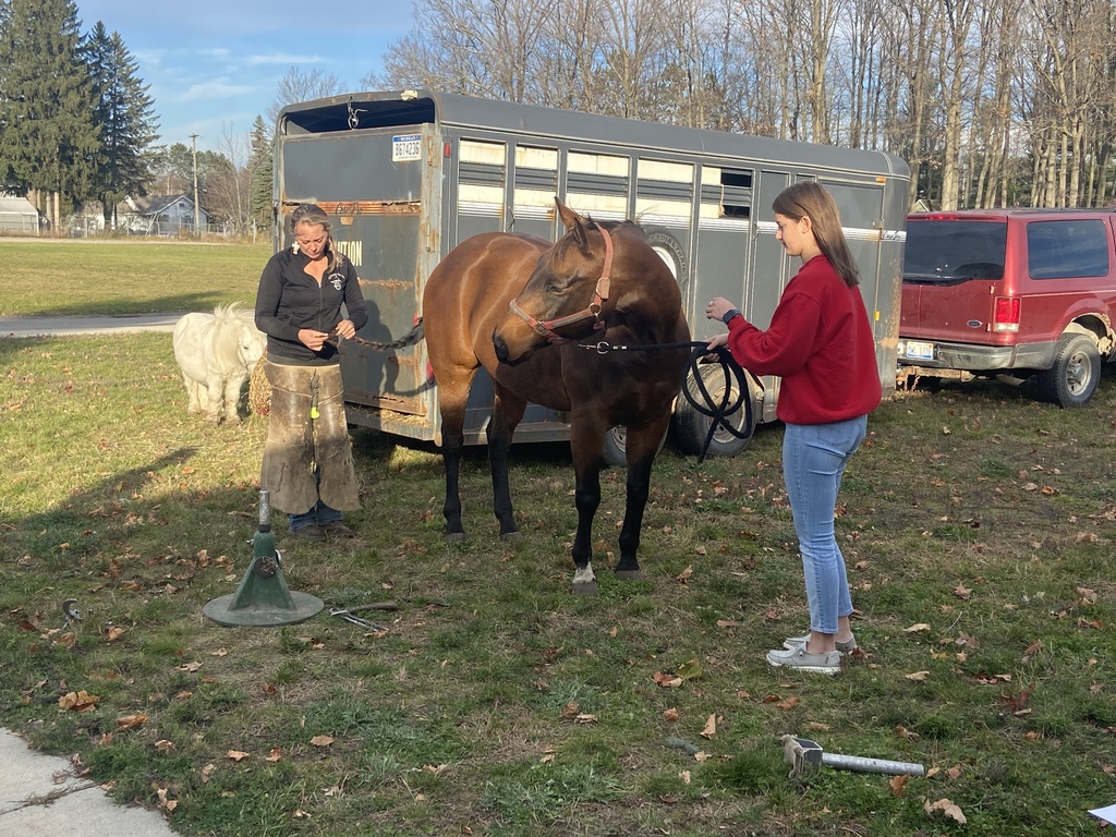 Two students and horse