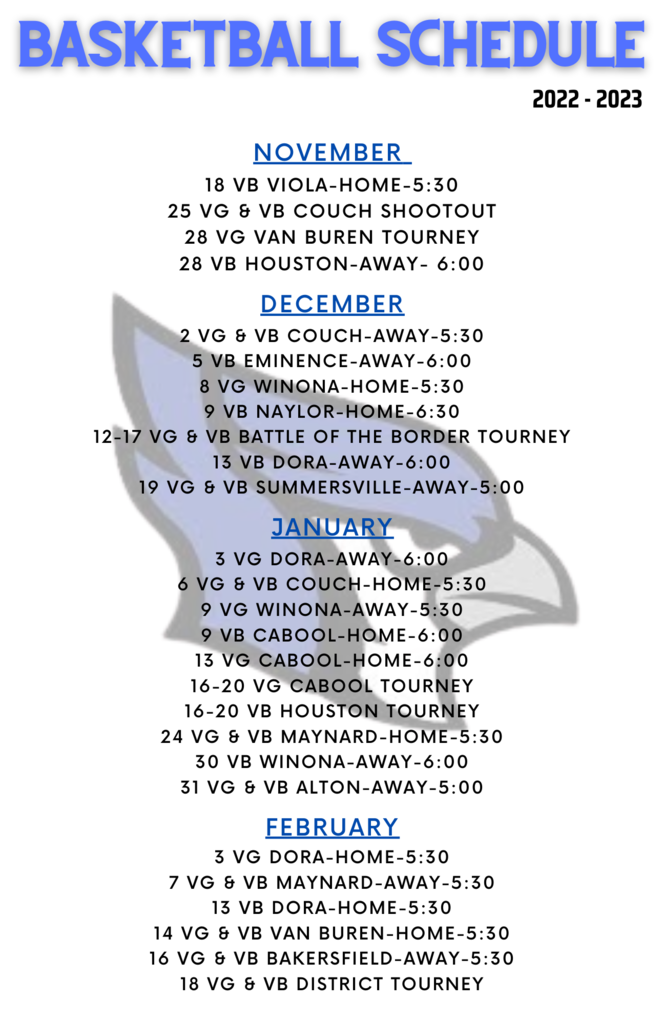 Basketball Schedule 2022-2023: Allie Payne