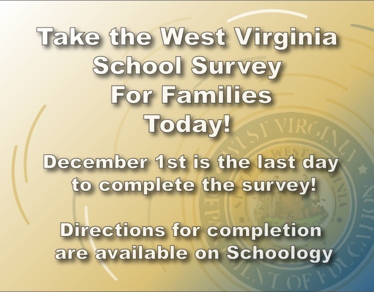 survey