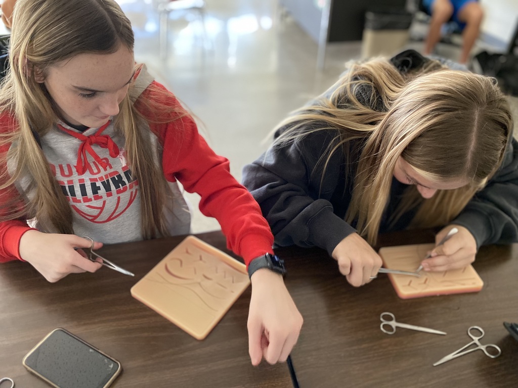 Harmony and Emily work on suturing.