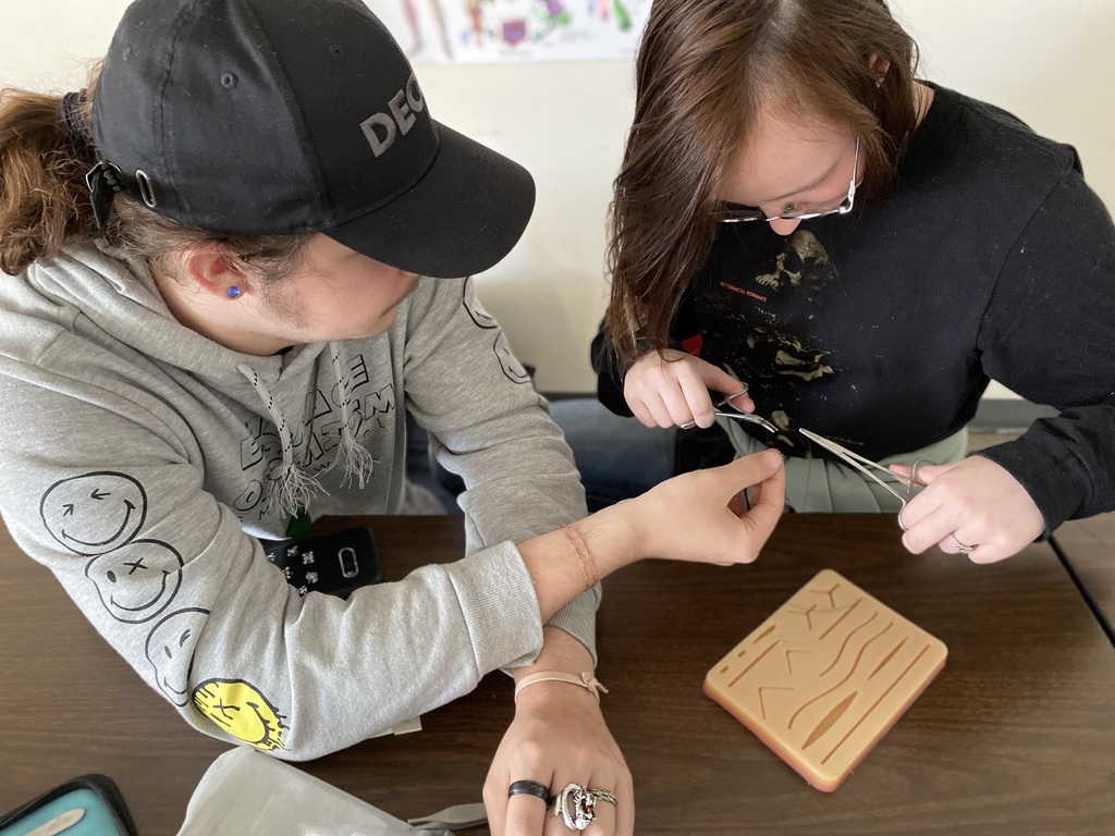 Daniel and Aiden work on suturing.