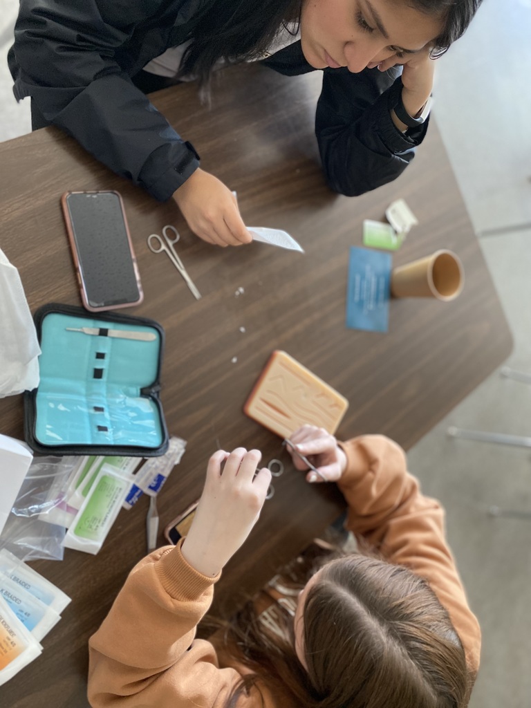 Violet and Isabelle work on suturing.