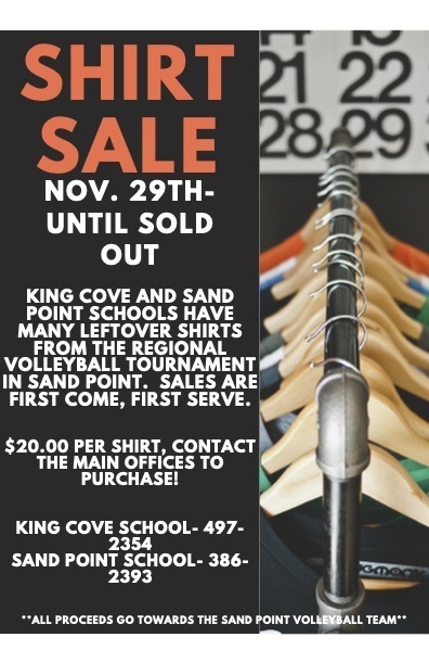 Shirt Sale