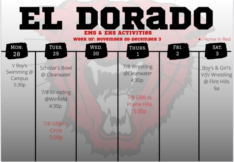 weekly schedule