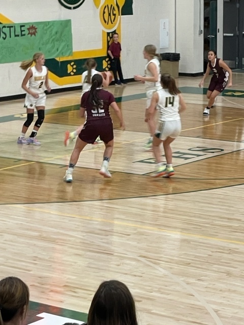 Girls Varsity Basketball