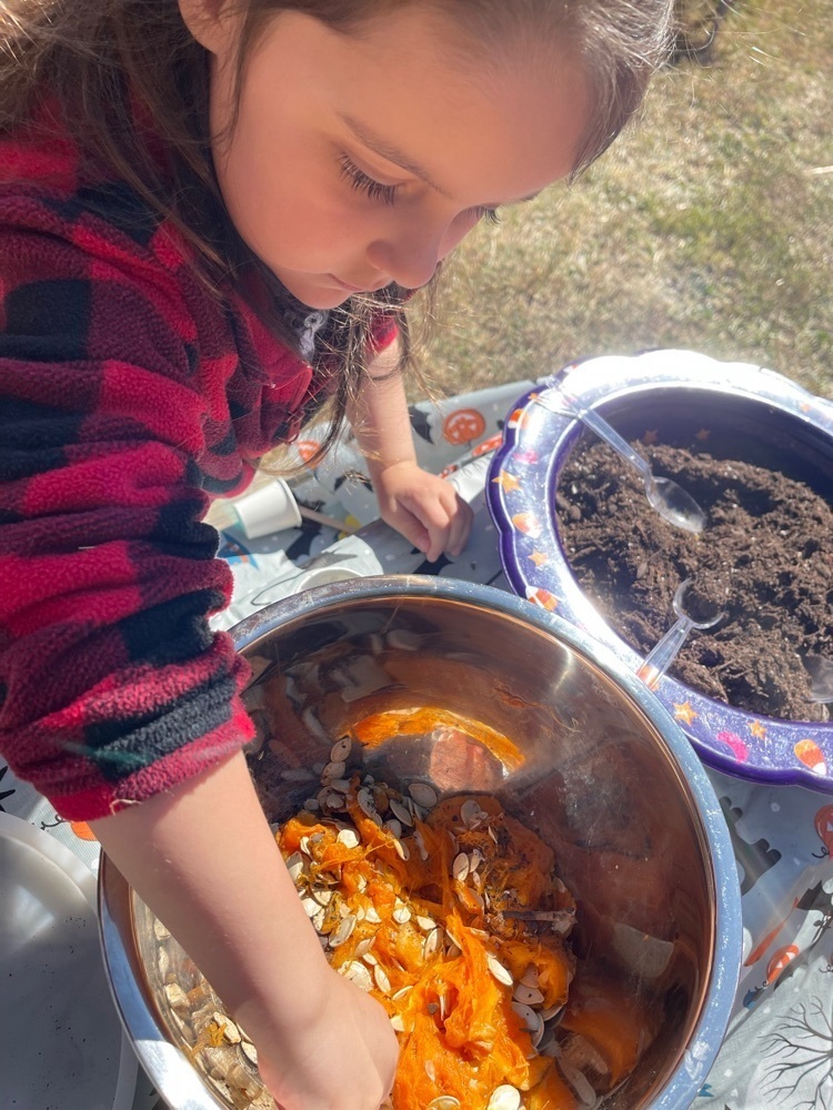 JE Pumpkin Patch - a week of educational hands on learning! “How Big Can Your Pumpkin Grow” read aloud followed by pumpkin seed planting.