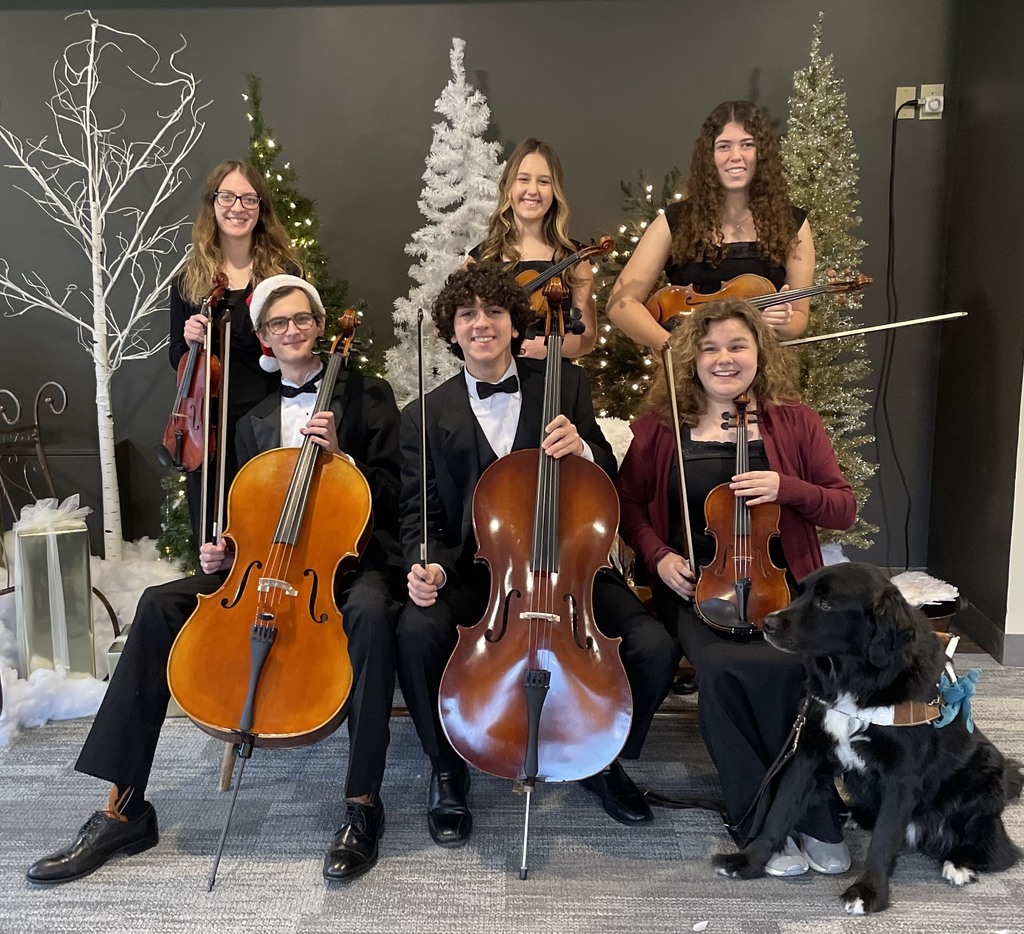 Bay High Orchestra Honors Ensemble