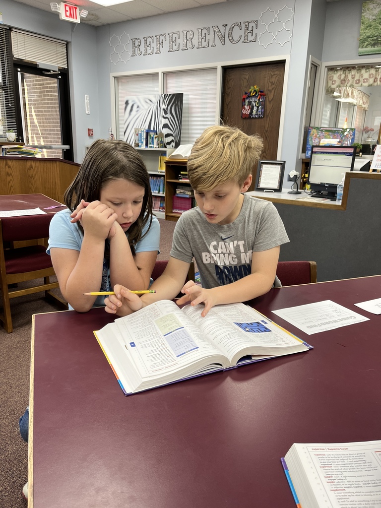 3rd Grade Dictionary Fun