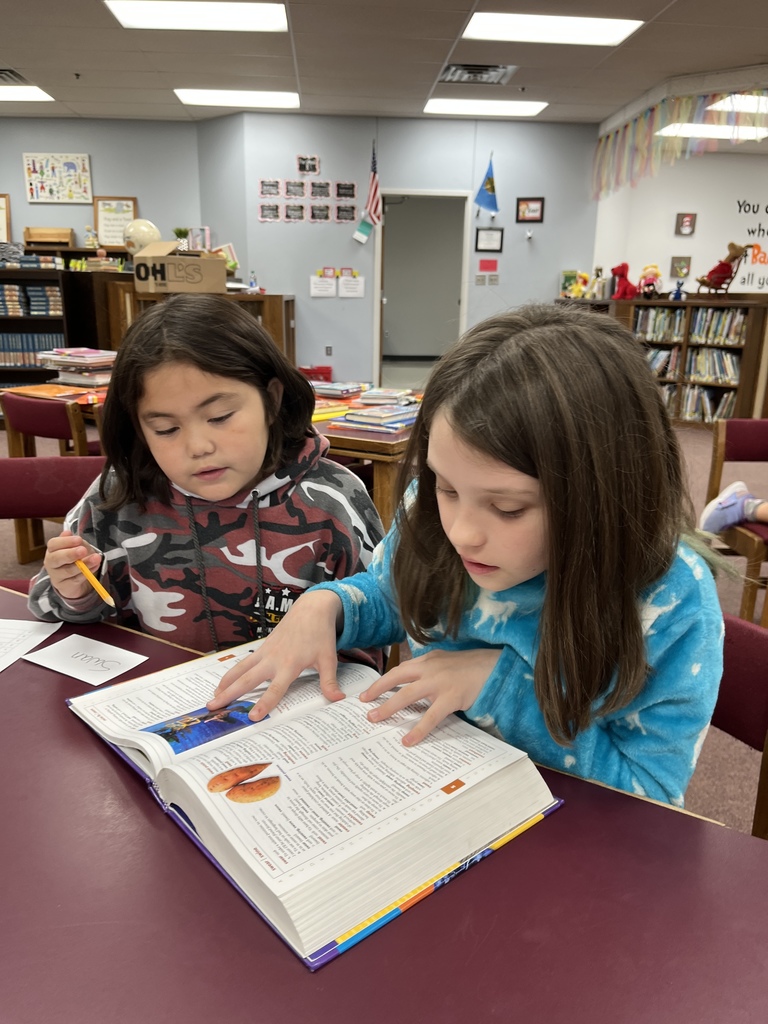 3rd Grade Dictionary Fun