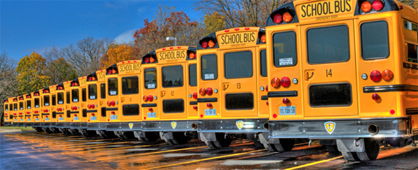 School Buses