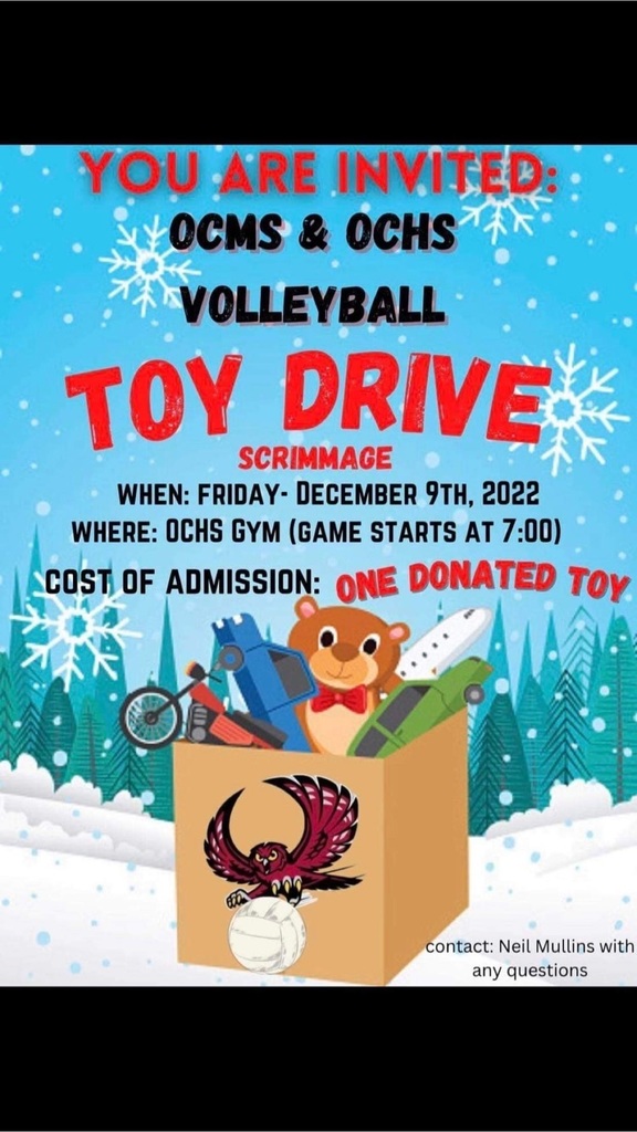 Volleyball Toy Drive Flyer