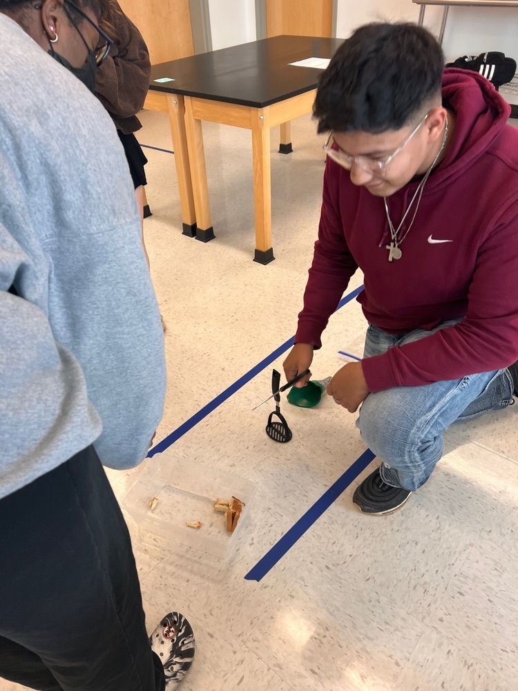 animal science students