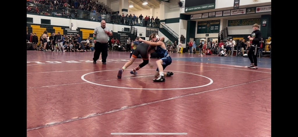 Wrestlers Competing