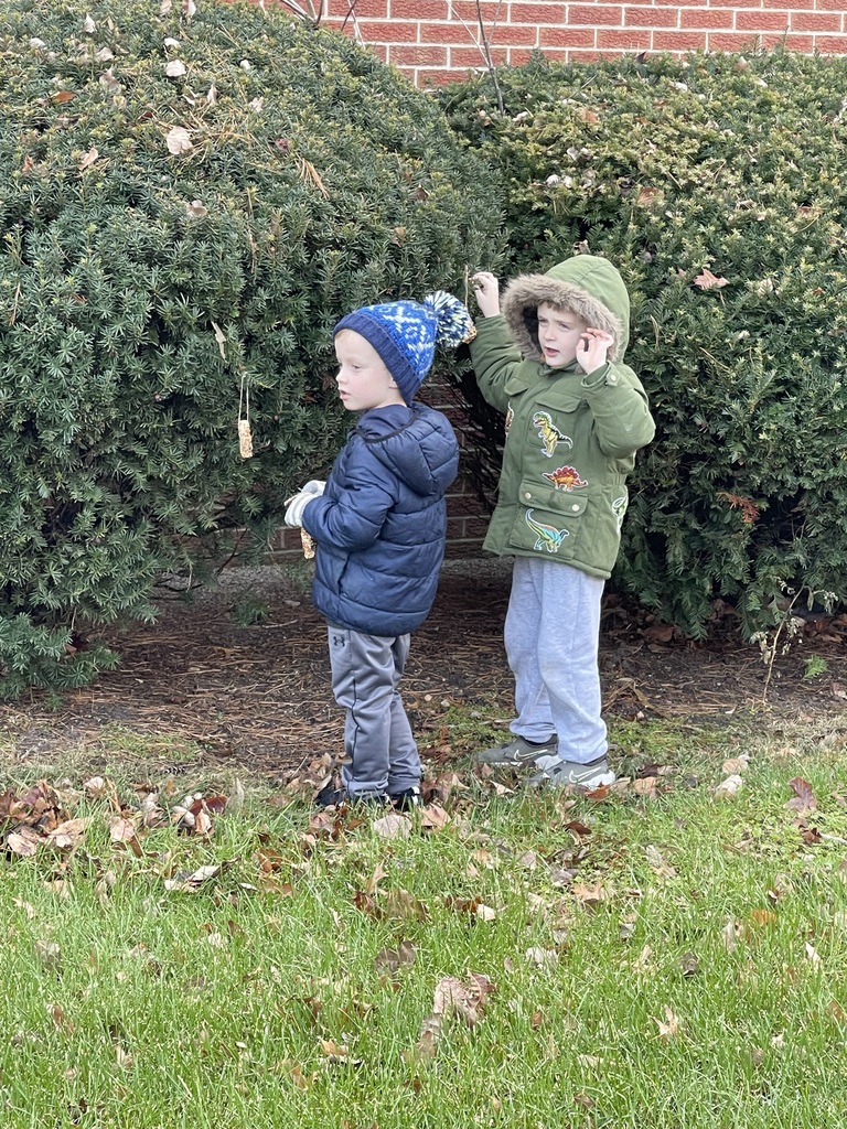 Kindergarten birdseed ornaments