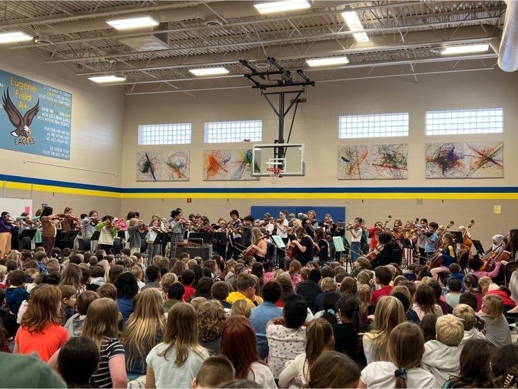 orchestra concert